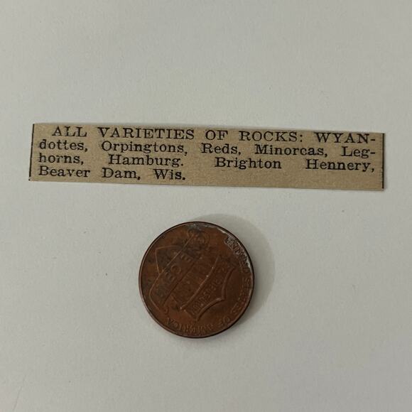 All Varieties of Rocks Brighton Hennery Beaver Dam WI 1911 Ad SAG9-S11 - Picture 2 of 2